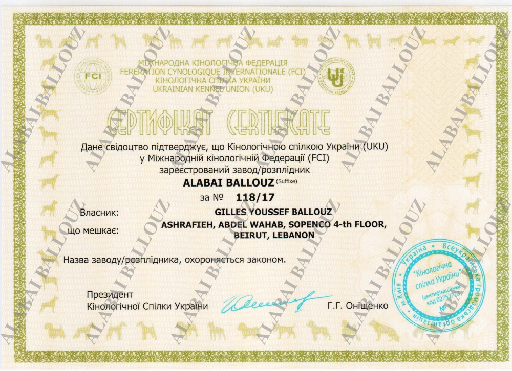 Alabai Ballouz 1-1.jpg