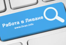 Работа в Ливане — Трудоустройство в Ливане Работа в Ливане - Трудоустройство в Ливане