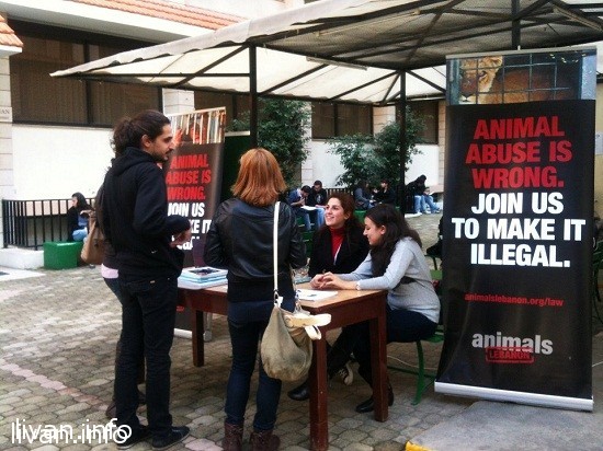 Животные Ливана нуждаются в защите и поддержке законодательством страны