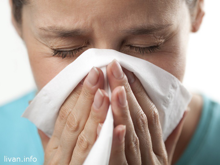 H1N1 уже в Ливане? H1N1 уже в Ливане?
