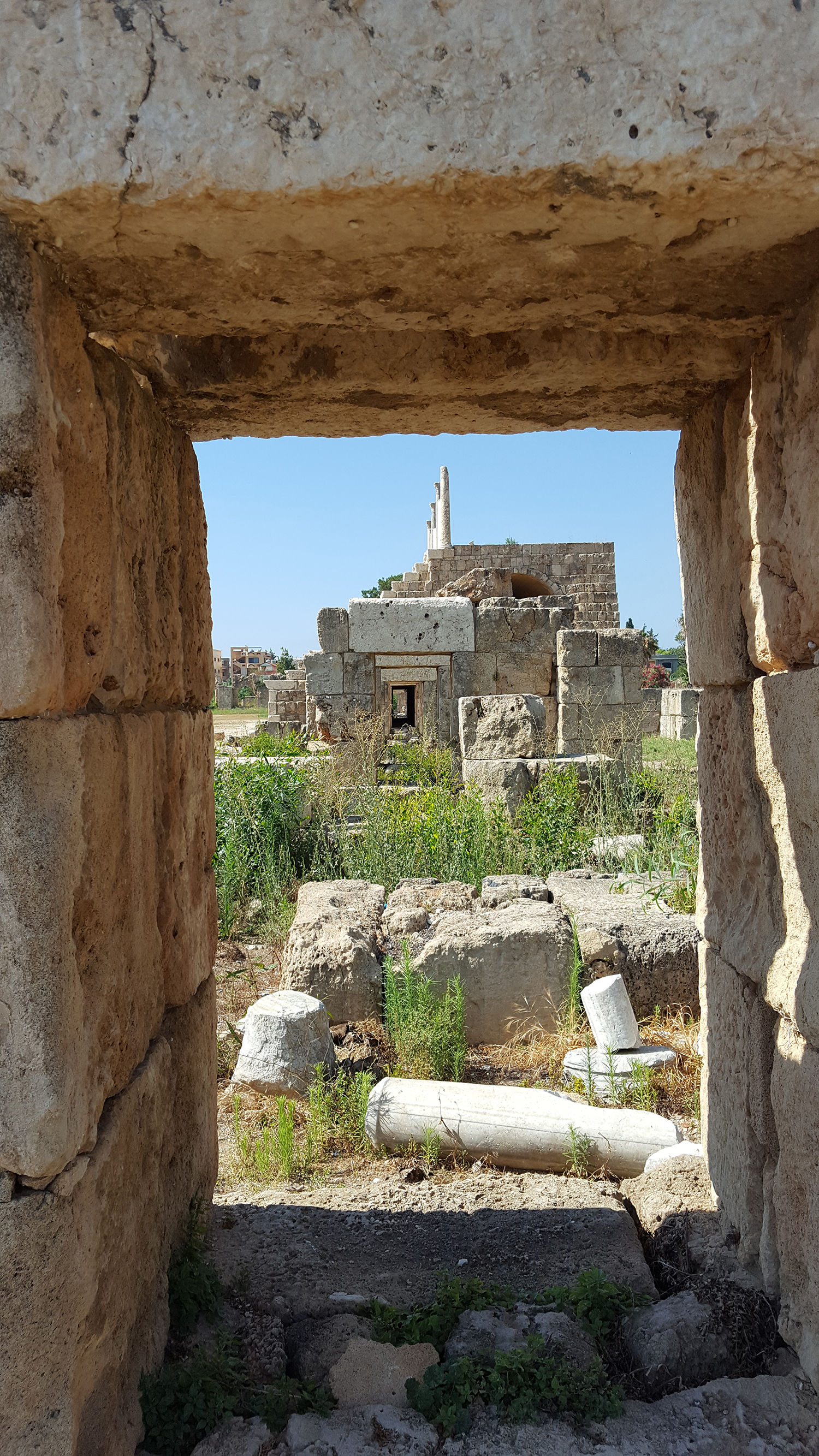 Развалины Тира. Ливан