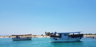 Пальмовые острова “Кроличьи острова”. Пальмовые острова “Кроличьи острова”.
