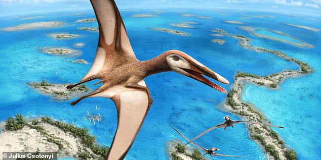 Исследователи открыли новые виды динозавров, которые пролетали над рифами и лагунами вокруг Ливана 95 миллионов лет назад.