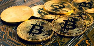 Ливанцы потеряли 300 миллионов долларов через торговую платформу криптовалюты. Ливанцы потеряли 300 миллионов долларов через торговую платформу криптовалюты.