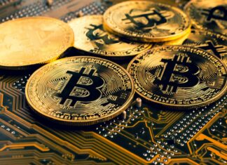 Ливанцы потеряли 300 миллионов долларов через торговую платформу криптовалюты. Ливанцы потеряли 300 миллионов долларов через торговую платформу криптовалюты.