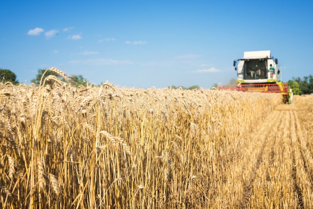 В Ливане растут опасения по поводу нехватки пшеницы из-за российско-украинского конфликта